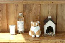 ブルーブルーエジャパン株式会社のプレスリリース画像18