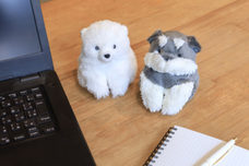 ブルーブルーエジャパン株式会社のプレスリリース画像10