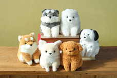 ブルーブルーエジャパン株式会社のプレスリリース画像1