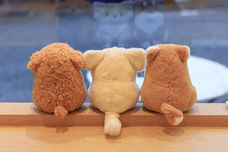 ブルーブルーエジャパン株式会社のプレスリリース画像20