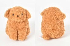 ブルーブルーエジャパン株式会社のプレスリリース画像6