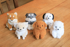 ブルーブルーエジャパン株式会社のプレスリリース画像17