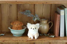 ブルーブルーエジャパン株式会社のプレスリリース画像12