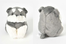 ブルーブルーエジャパン株式会社のプレスリリース画像3