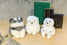 ブルーブルーエジャパン株式会社のプレスリリース画像13