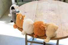 ブルーブルーエジャパン株式会社のプレスリリース画像11