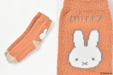 ブルーブルーエジャパン株式会社のプレスリリース画像11