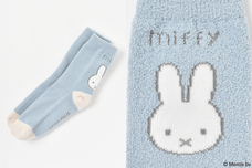 ブルーブルーエジャパン株式会社のプレスリリース画像10