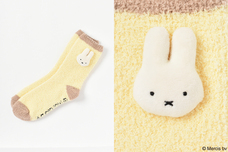 ブルーブルーエジャパン株式会社のプレスリリース画像5