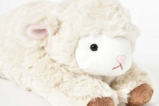 ブルーブルーエジャパン株式会社のプレスリリース画像9