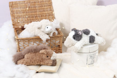 ブルーブルーエジャパン株式会社のプレスリリース画像1