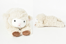 ブルーブルーエジャパン株式会社のプレスリリース画像8