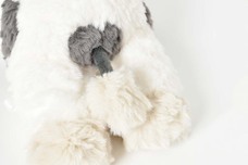 ブルーブルーエジャパン株式会社のプレスリリース画像5