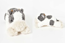 ブルーブルーエジャパン株式会社のプレスリリース画像4