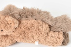 ブルーブルーエジャパン株式会社のプレスリリース画像7