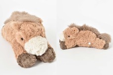 ブルーブルーエジャパン株式会社のプレスリリース画像6