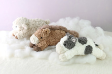 ブルーブルーエジャパン株式会社のプレスリリース画像2