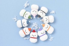 ブルーブルーエジャパン株式会社のプレスリリース画像9