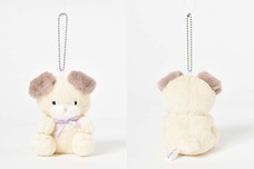 ブルーブルーエジャパン株式会社のプレスリリース画像5