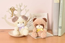 ブルーブルーエジャパン株式会社のプレスリリース画像11