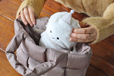 ブルーブルーエジャパン株式会社のプレスリリース画像12