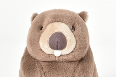 ブルーブルーエジャパン株式会社のプレスリリース画像4