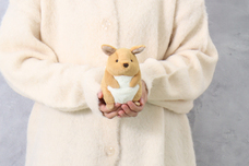 ブルーブルーエジャパン株式会社のプレスリリース画像12