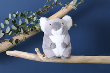 ブルーブルーエジャパン株式会社のプレスリリース画像14