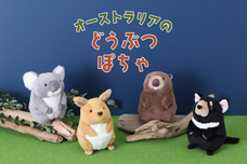 ブルーブルーエジャパン株式会社のプレスリリース画像1