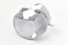 ブルーブルーエジャパン株式会社のプレスリリース画像11