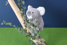 ブルーブルーエジャパン株式会社のプレスリリース画像13