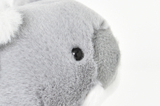 ブルーブルーエジャパン株式会社のプレスリリース画像10