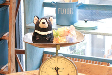 ブルーブルーエジャパン株式会社のプレスリリース画像18