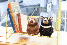 ブルーブルーエジャパン株式会社のプレスリリース画像19