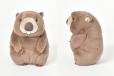 ブルーブルーエジャパン株式会社のプレスリリース画像3