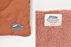 ブルーブルーエジャパン株式会社のプレスリリース画像4