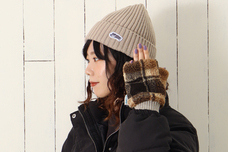 ブルーブルーエジャパン株式会社のプレスリリース画像14