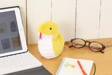 ブルーブルーエジャパン株式会社のプレスリリース画像11