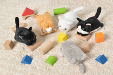 ブルーブルーエジャパン株式会社のプレスリリース画像11