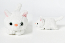 ブルーブルーエジャパン株式会社のプレスリリース画像7