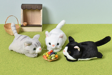 ブルーブルーエジャパン株式会社のプレスリリース画像12