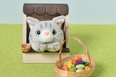 ブルーブルーエジャパン株式会社のプレスリリース画像15