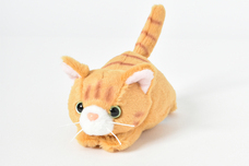 ブルーブルーエジャパン株式会社のプレスリリース画像9