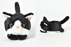 ブルーブルーエジャパン株式会社のプレスリリース画像4