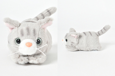 ブルーブルーエジャパン株式会社のプレスリリース画像6