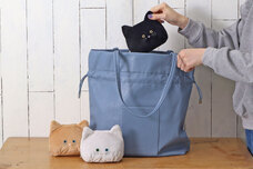 ブルーブルーエジャパン株式会社のプレスリリース画像14