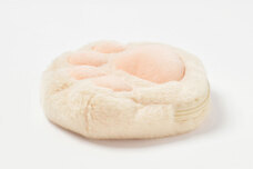 ブルーブルーエジャパン株式会社のプレスリリース画像6