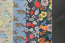 ブルーブルーエジャパン株式会社のプレスリリース画像17