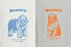 ブルーブルーエジャパン株式会社のプレスリリース画像3