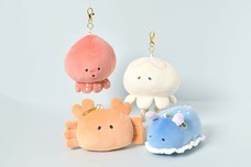 ブルーブルーエジャパン株式会社のプレスリリース画像13